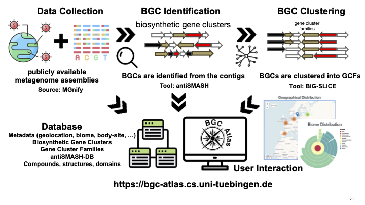 BGC Atlas Overview